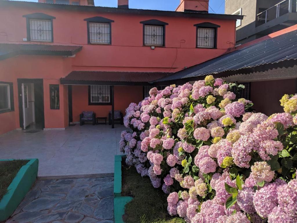 Nuevo Horizonte