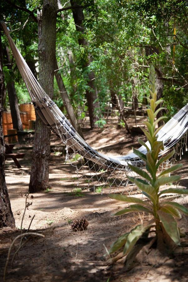 Glamping Caravan Camping Villa Gesell