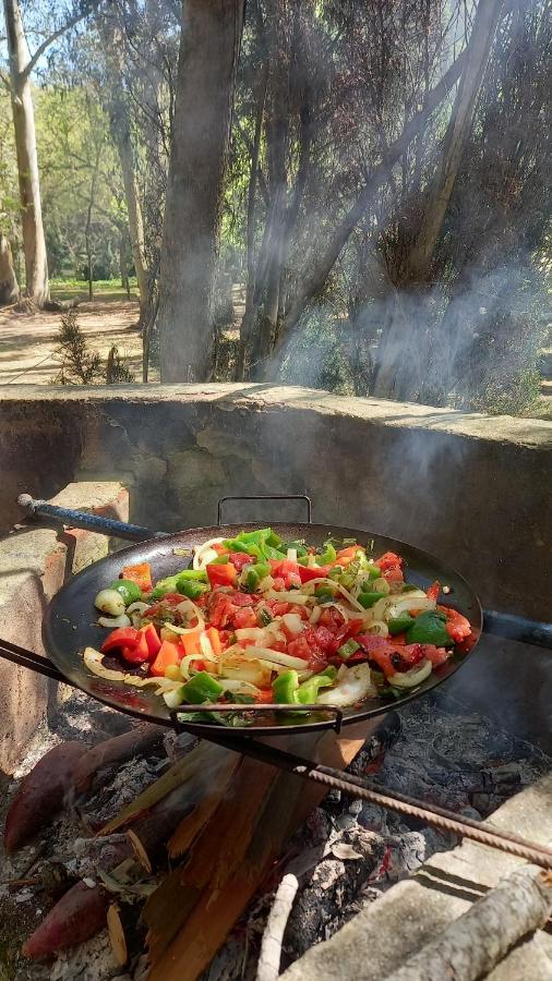 Glamping Caravan Camping