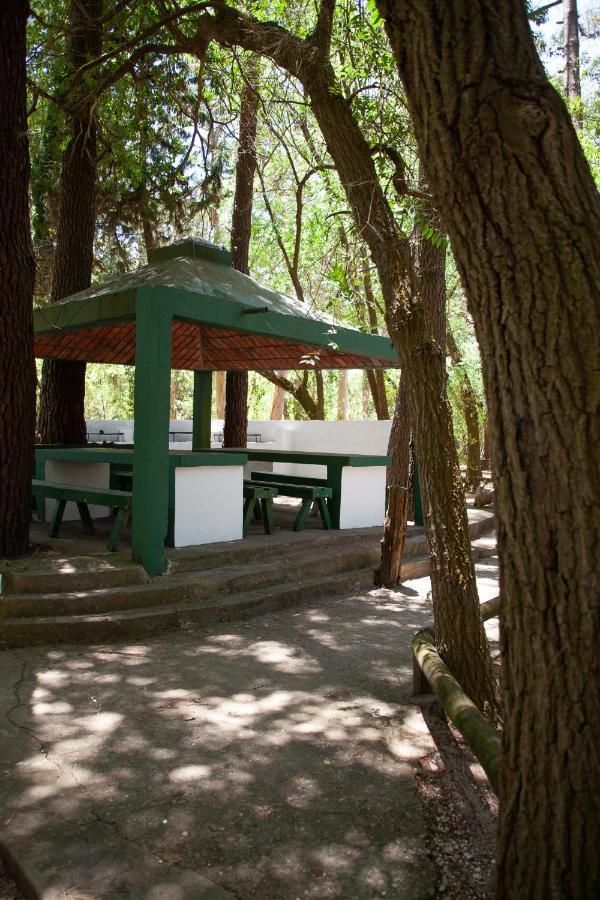 Glamping Caravan * Villa Gesell