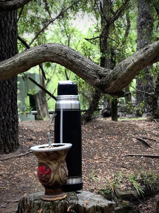 Glamping Caravan Camping *