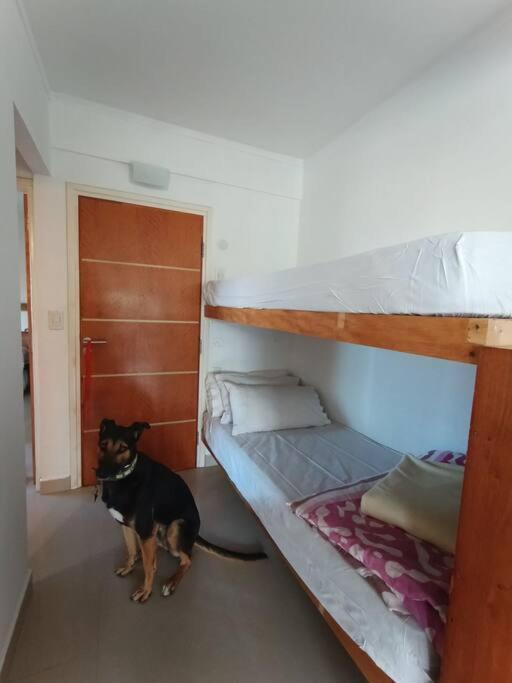 Apartment A Pasitos Del Mar, Tranquilo. *
