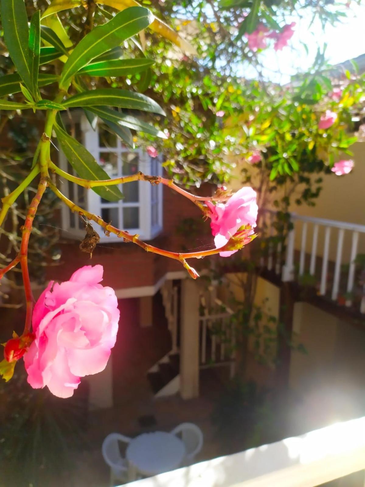 Costa Bonita Inn