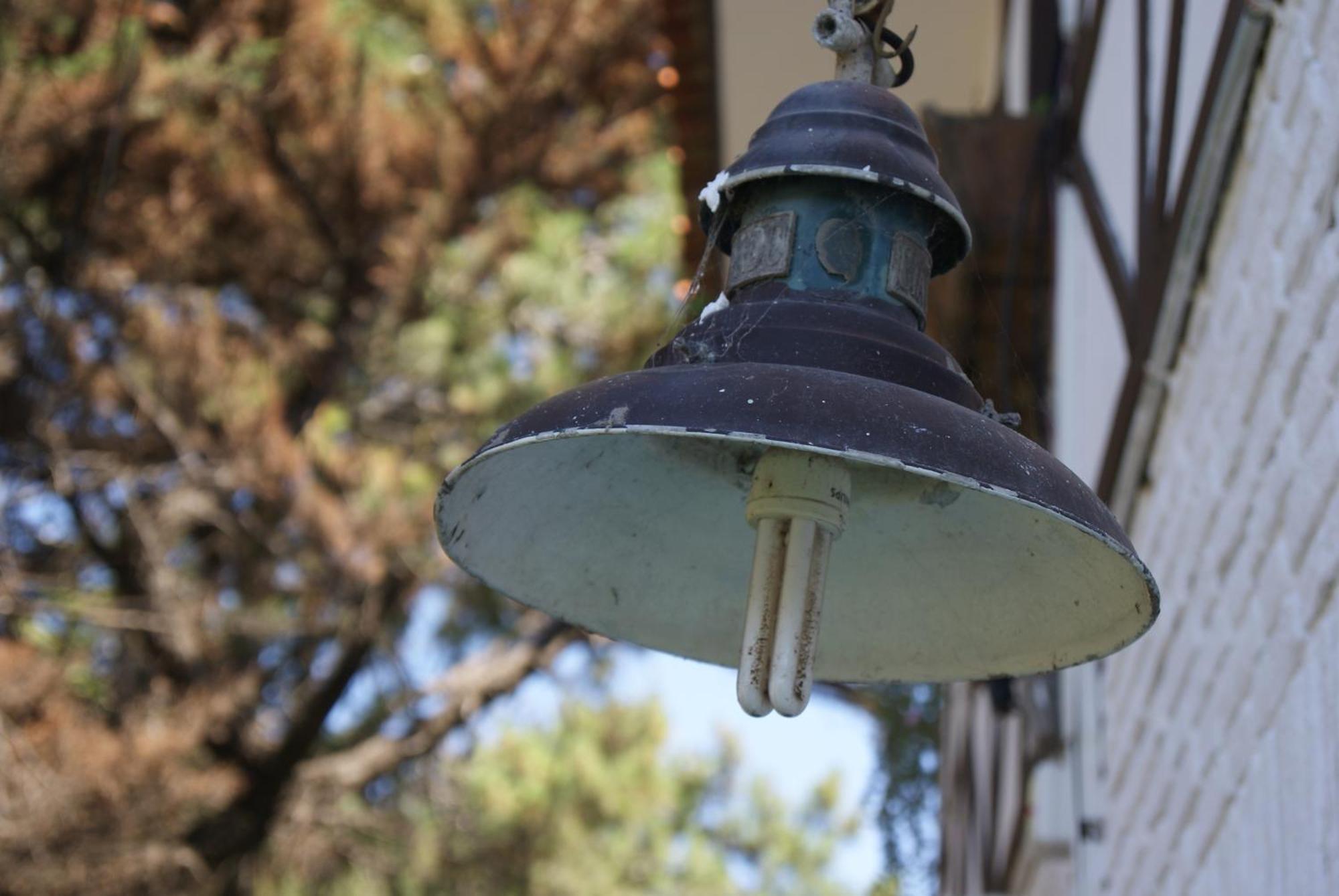 Inn Actinia