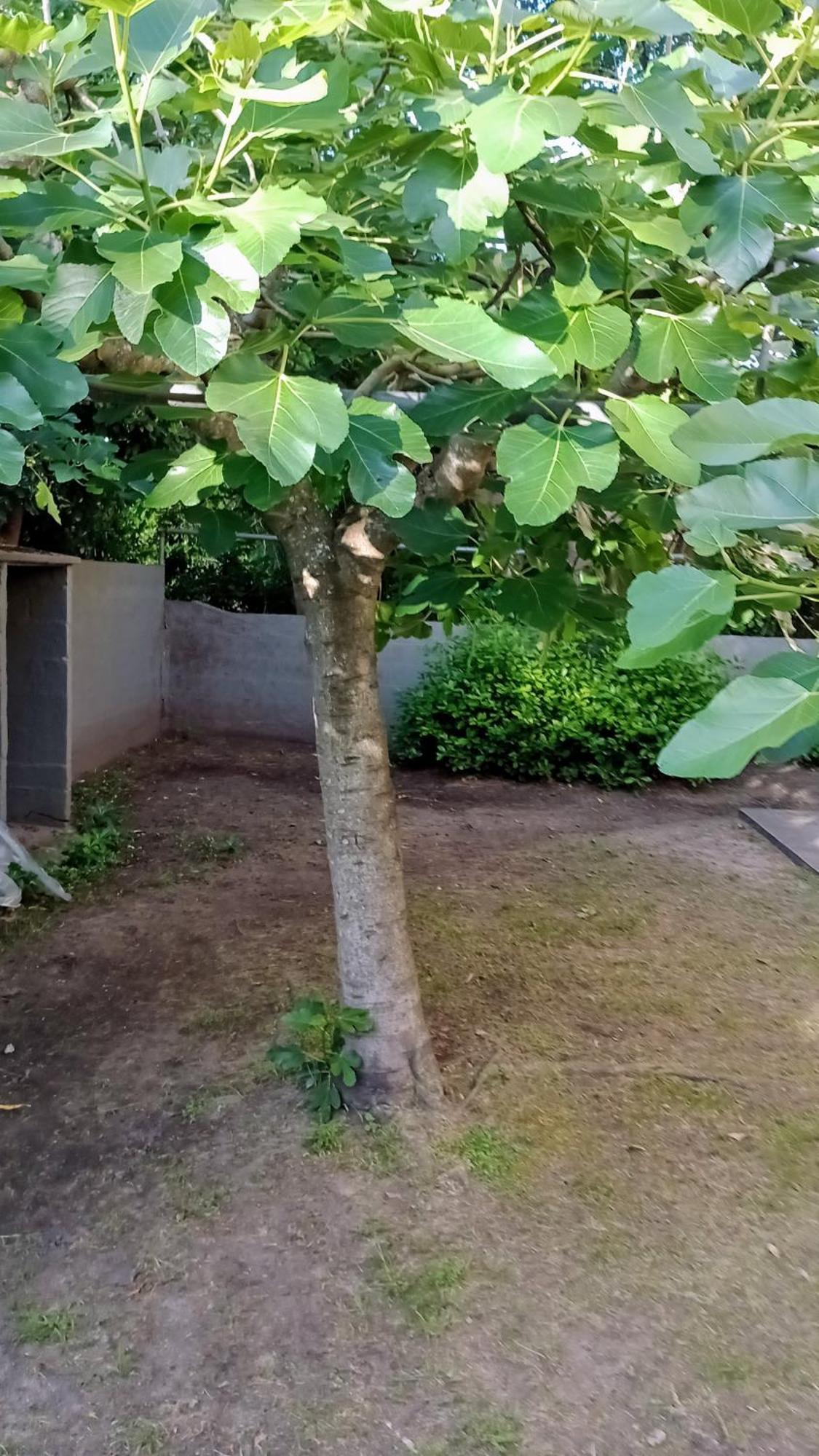 Apartamento Nono110 *
