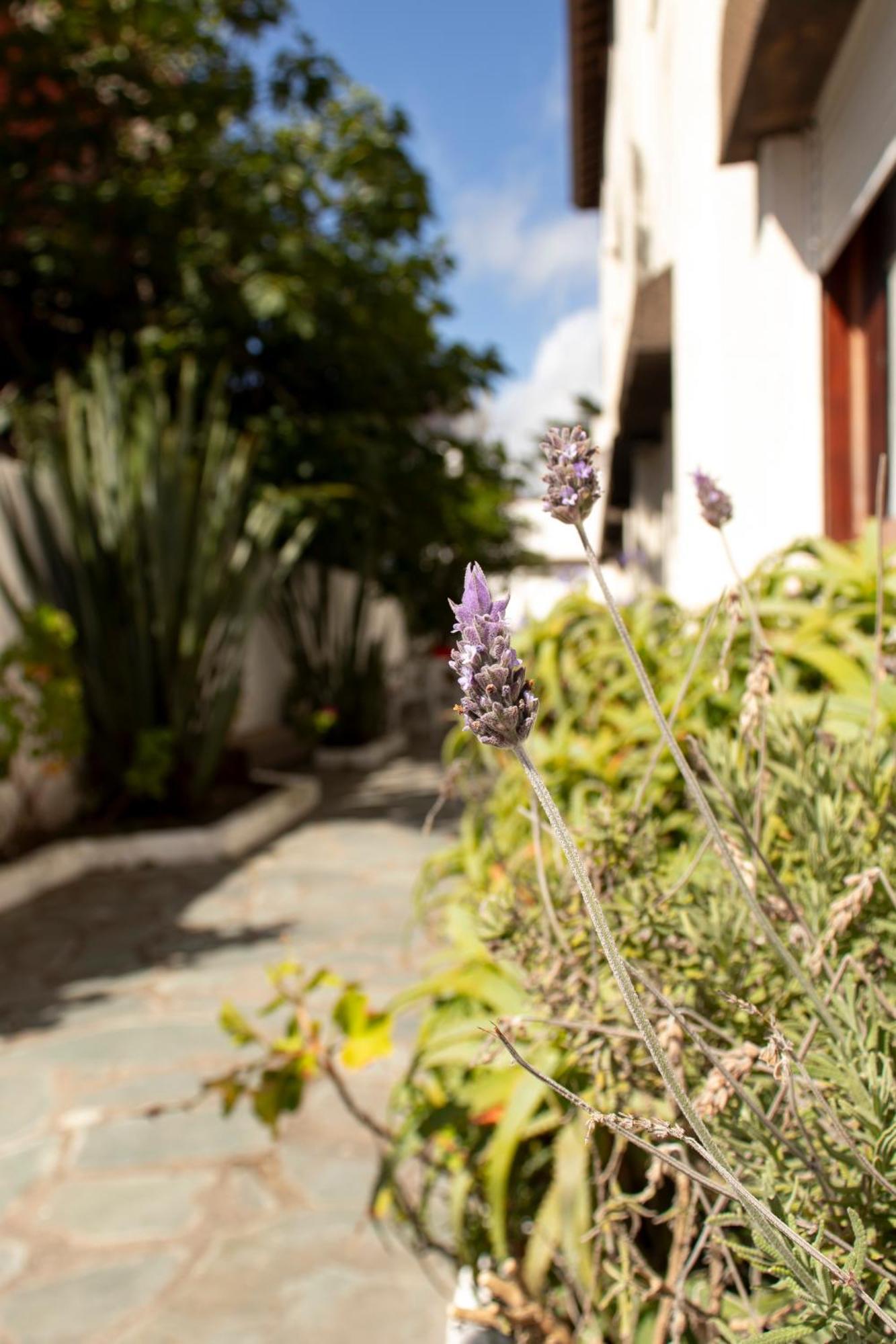 Hotel Acuarium Villa Gesell