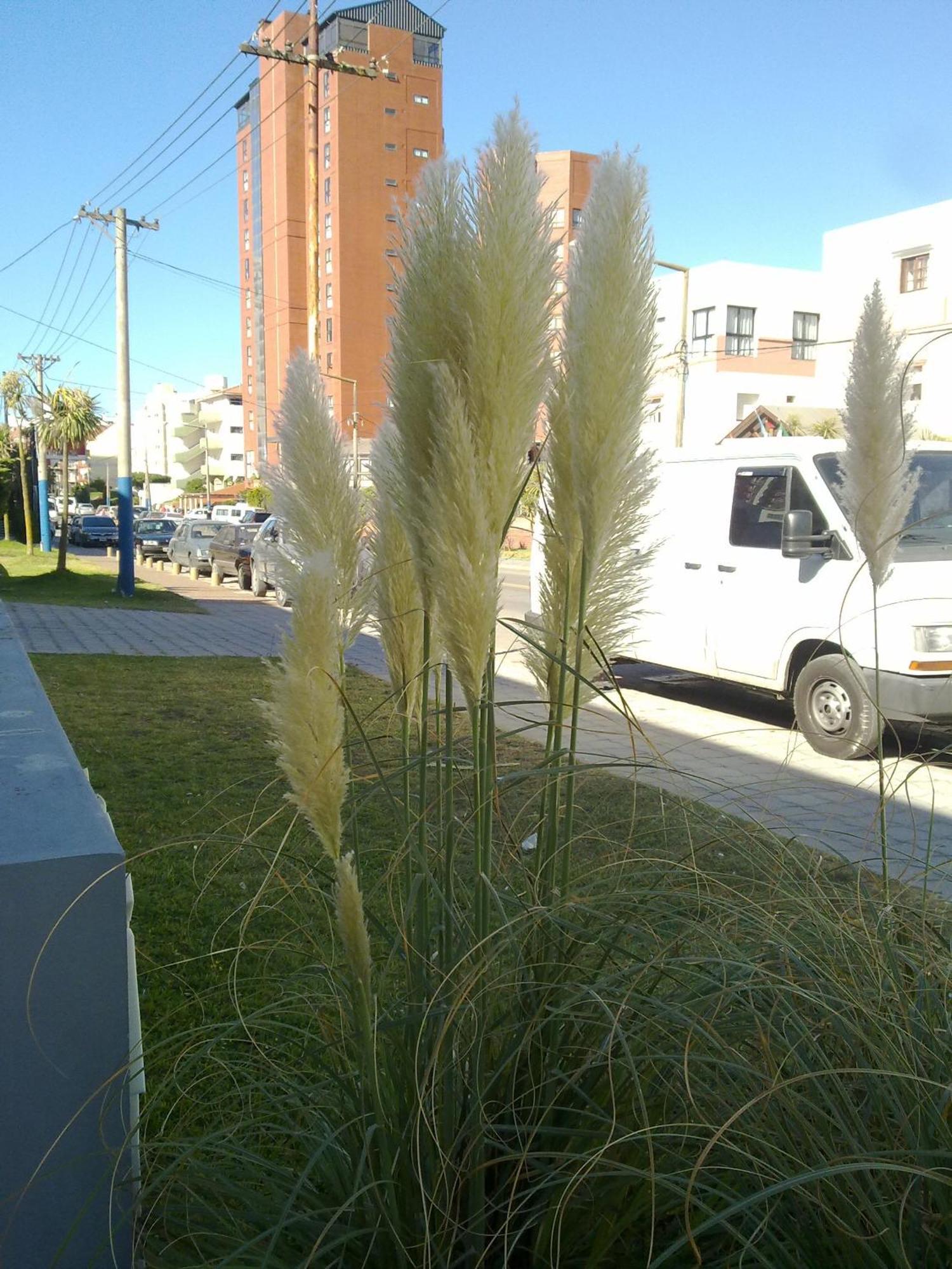 Hotel Maritimo Villa Gesell