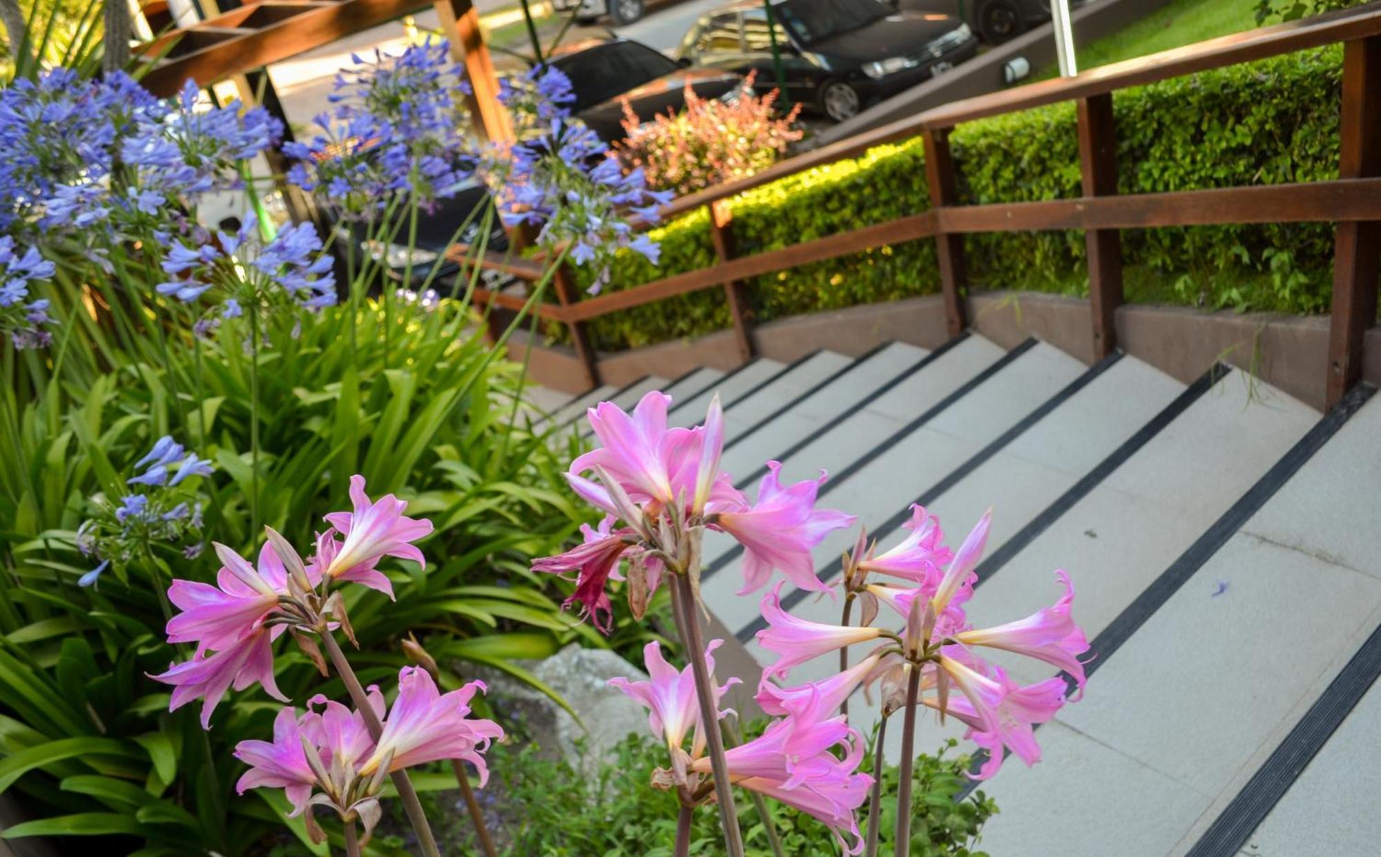 Hotel Rideamus Villa Gesell