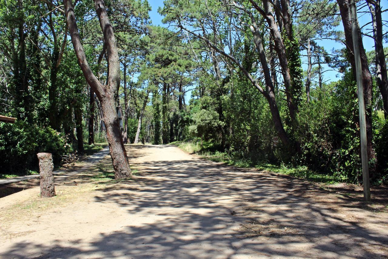 Ramma Camping * Villa Gesell