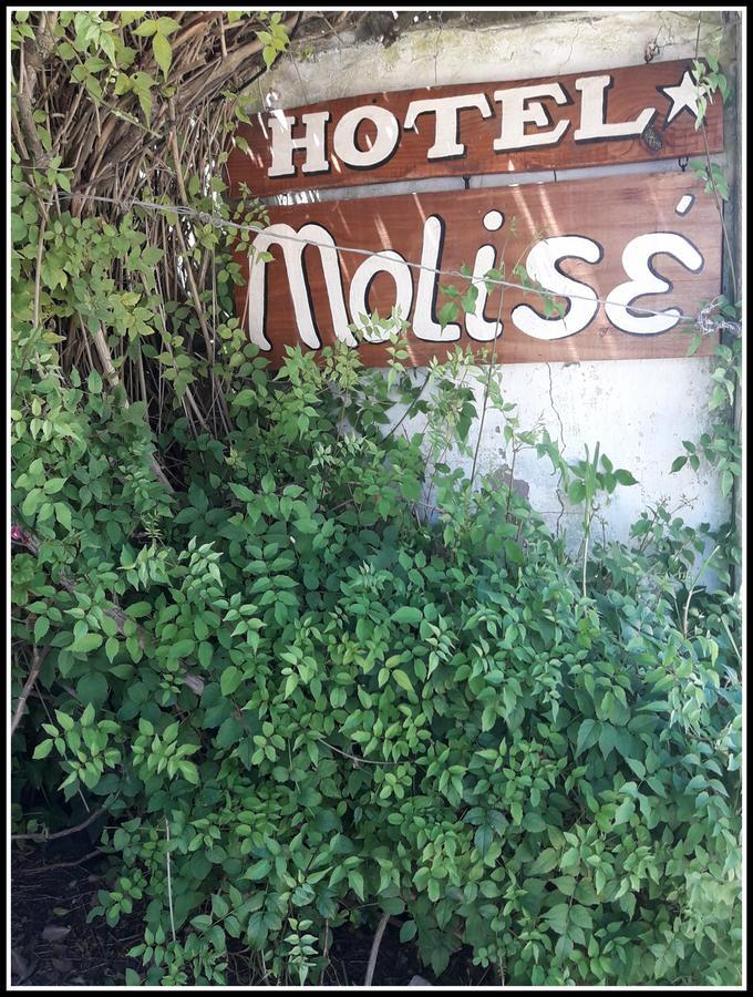 Molise *