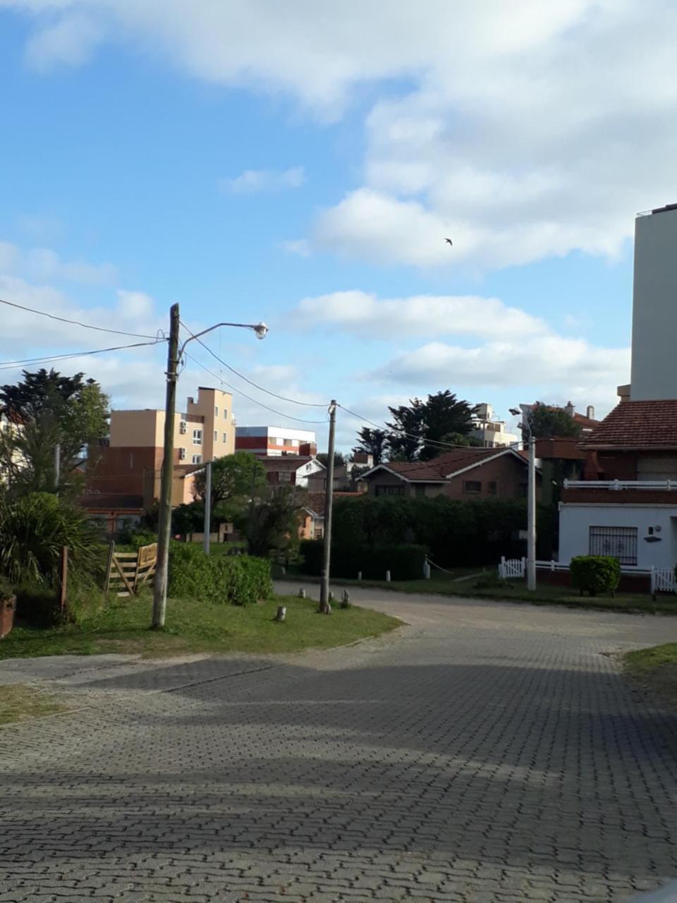 Familiar Pinar Gesell *