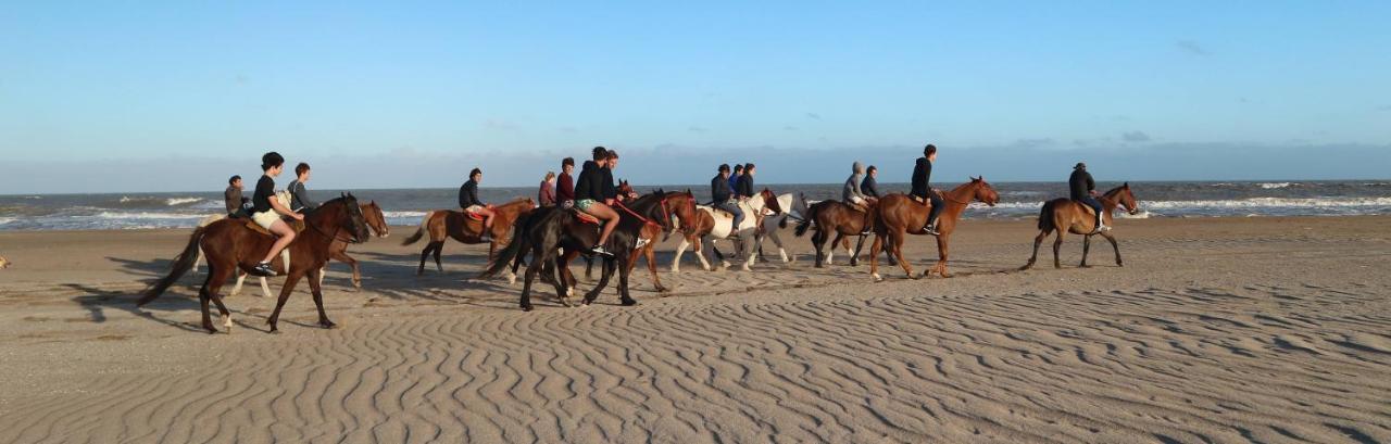 Punto Playa Aparthotel Villa Gesell