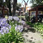 pucará