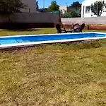 Complejo Rafina Villa Gesell