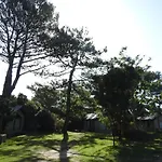 Los Ciruelos