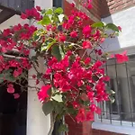 Fedes House