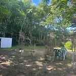 Claro De Luna 2