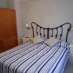 Departamento Huarpes