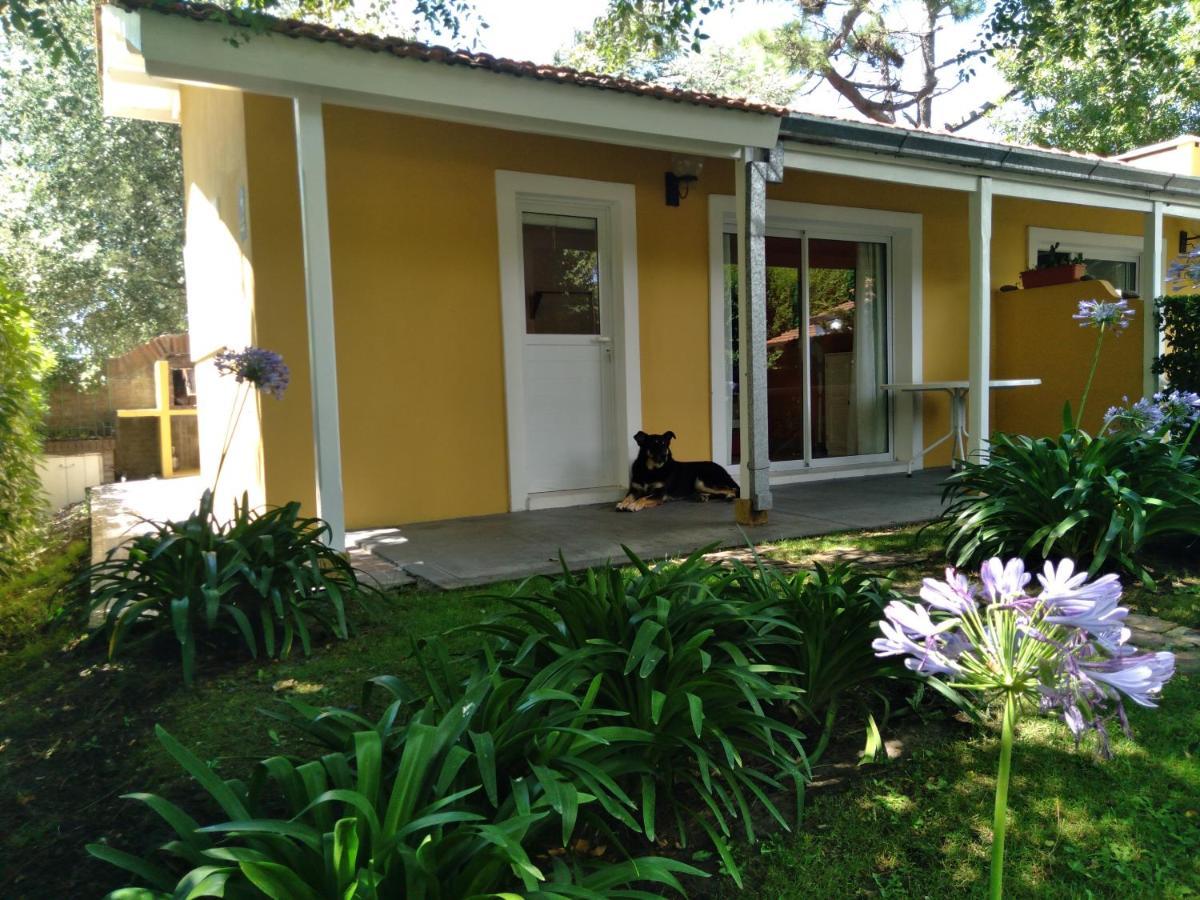 Apartamento Pucará *