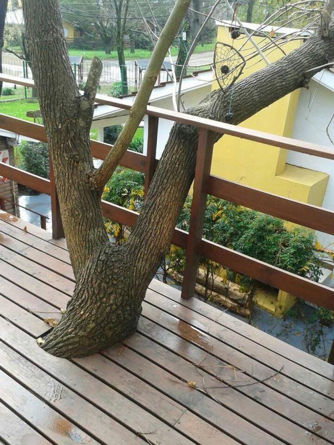 Apartamento Pucará