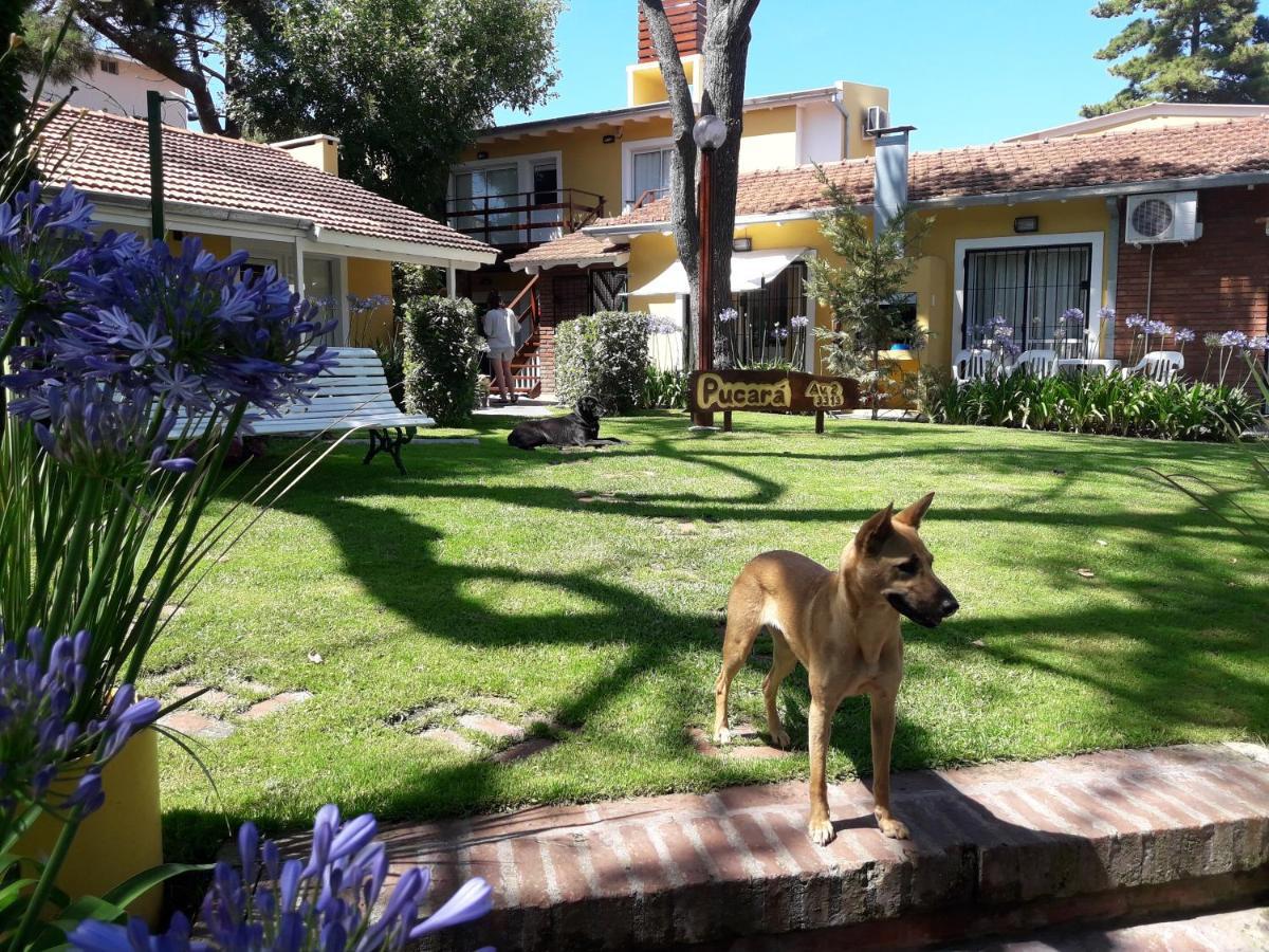 Pucará Apartamento Villa Gesell