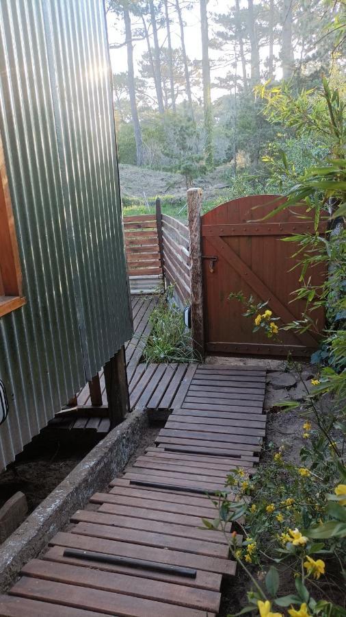 Lodge Del Bosque Surf Ranch