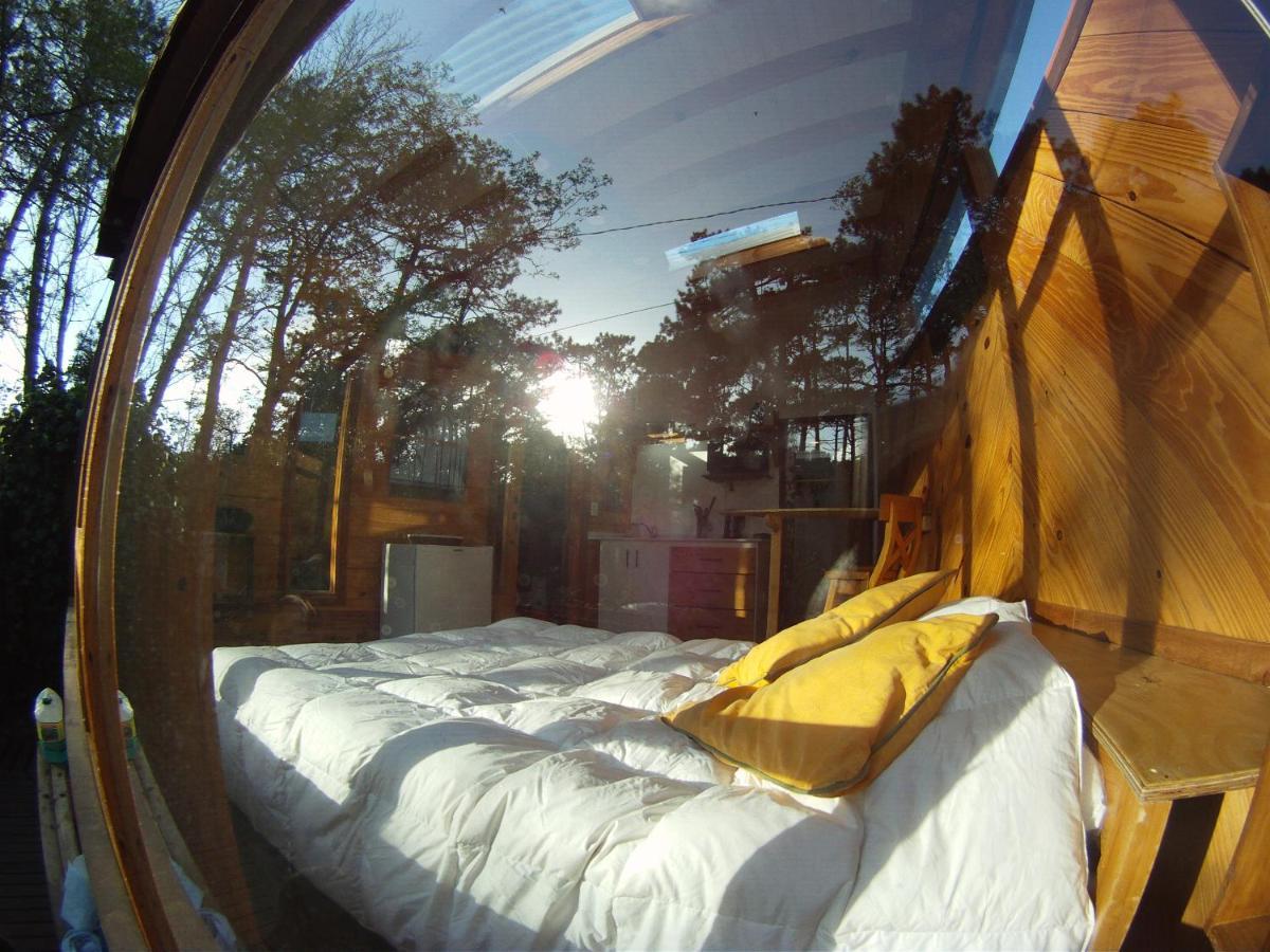 Lodge Del Bosque Surf Ranch *