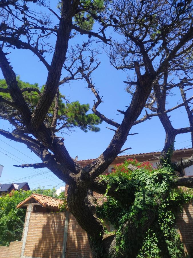 Zoodiaco Villa Gesell