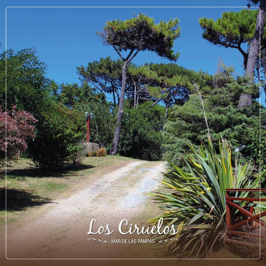 Ciruelos Apartahotel Villa Gesell