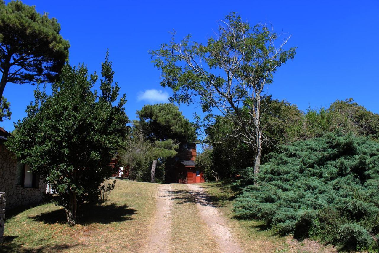 Ciruelos * Villa Gesell