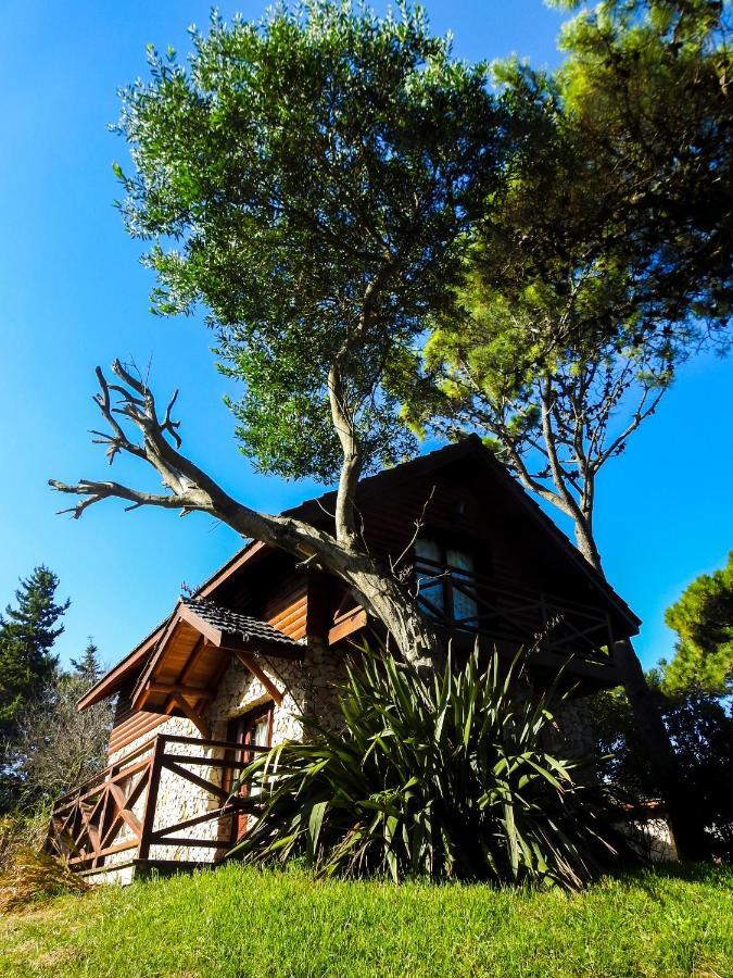 Apartahotel Ciruelos