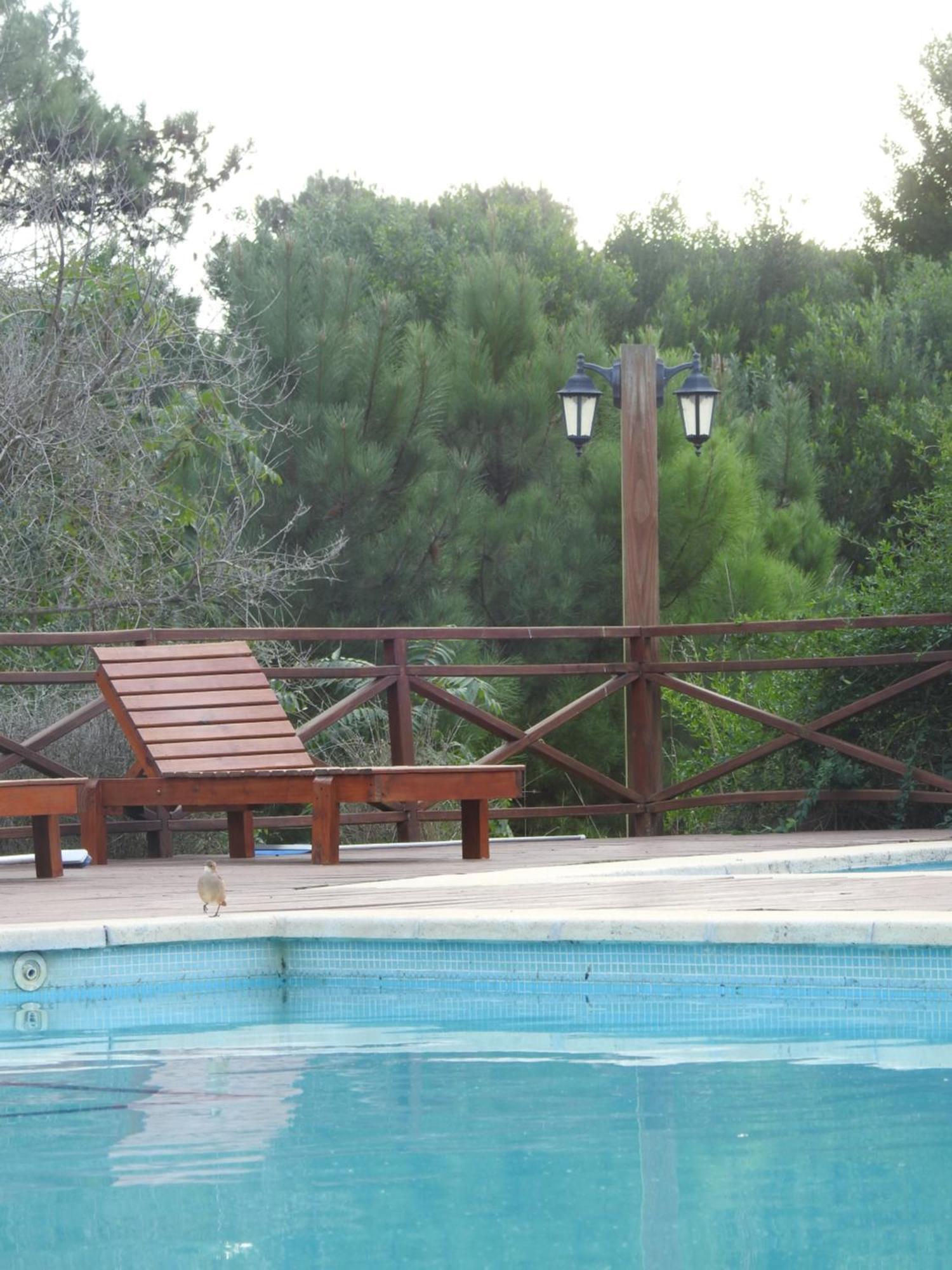 Ciruelos Apartahotel Villa Gesell