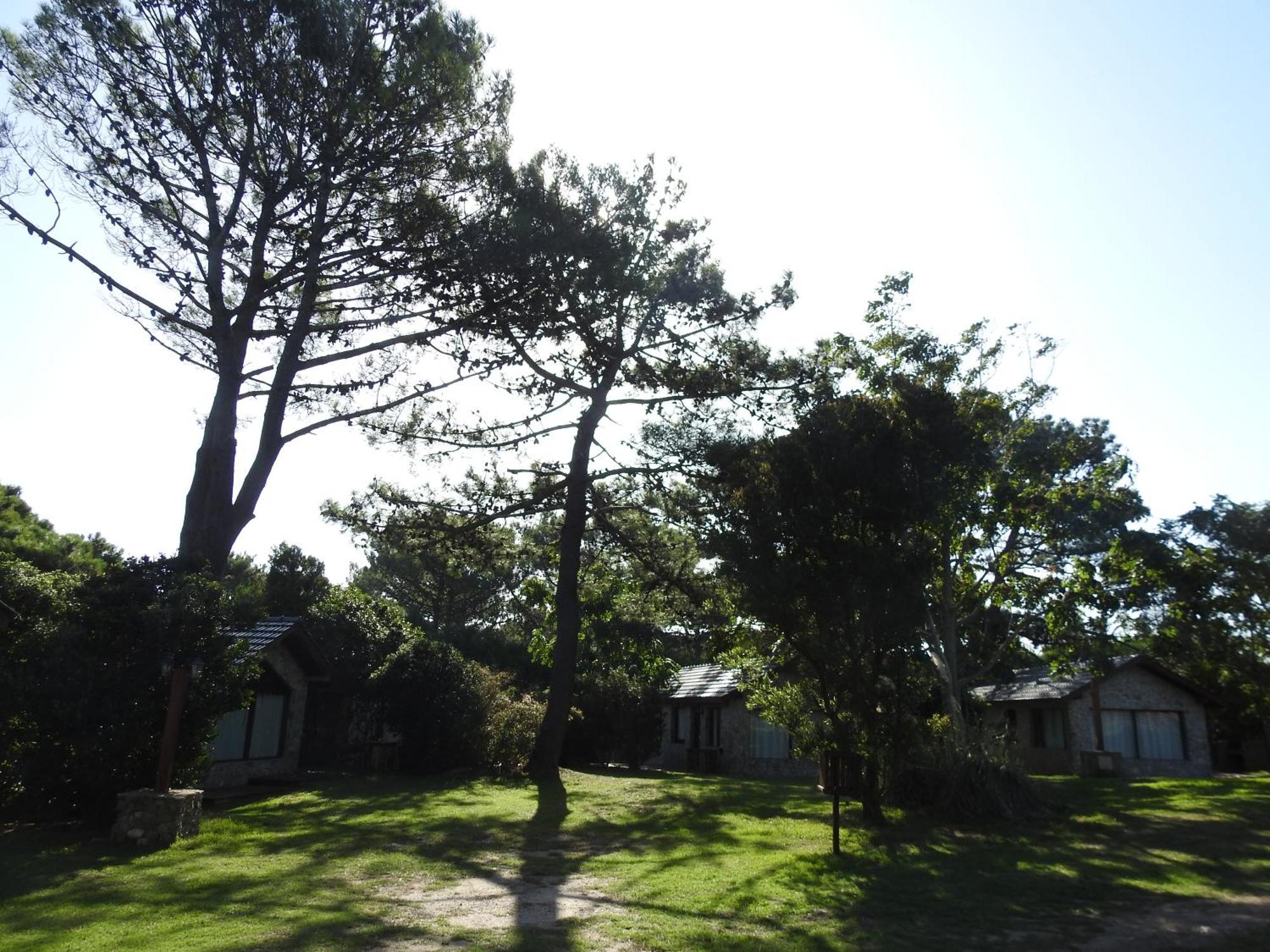 Apartahotel Ciruelos Villa Gesell