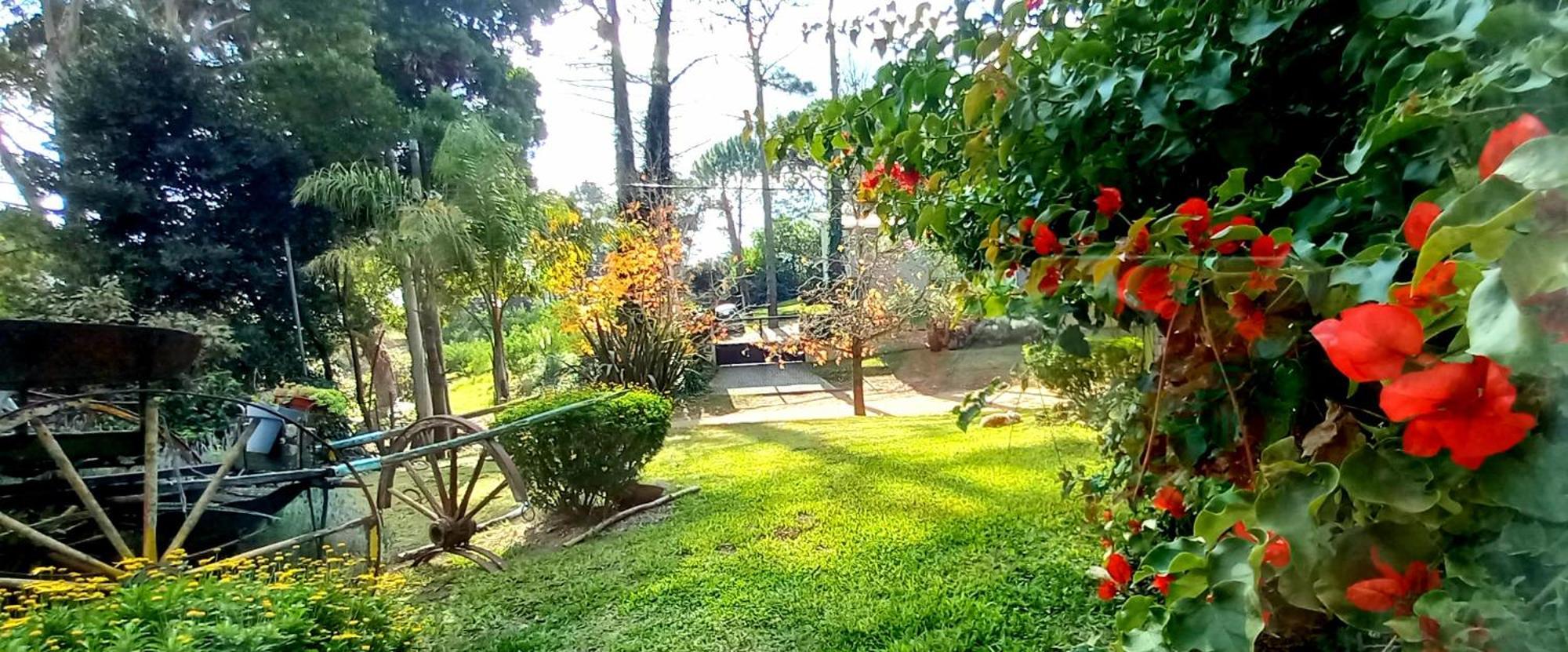 Casa Del Golf Gesell Сasa de vacaciones *