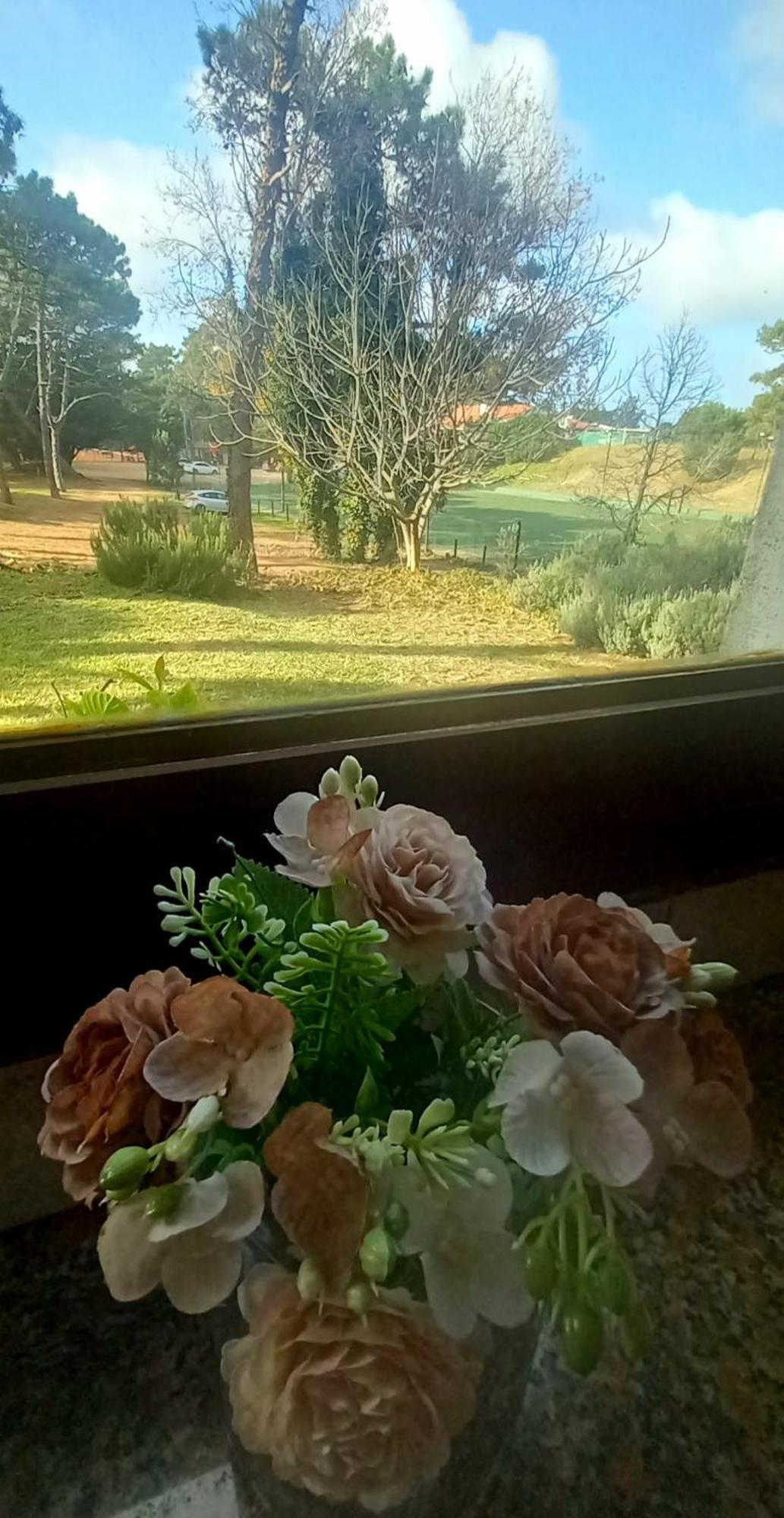 Casa Del Golf Gesell Сasa de vacaciones *