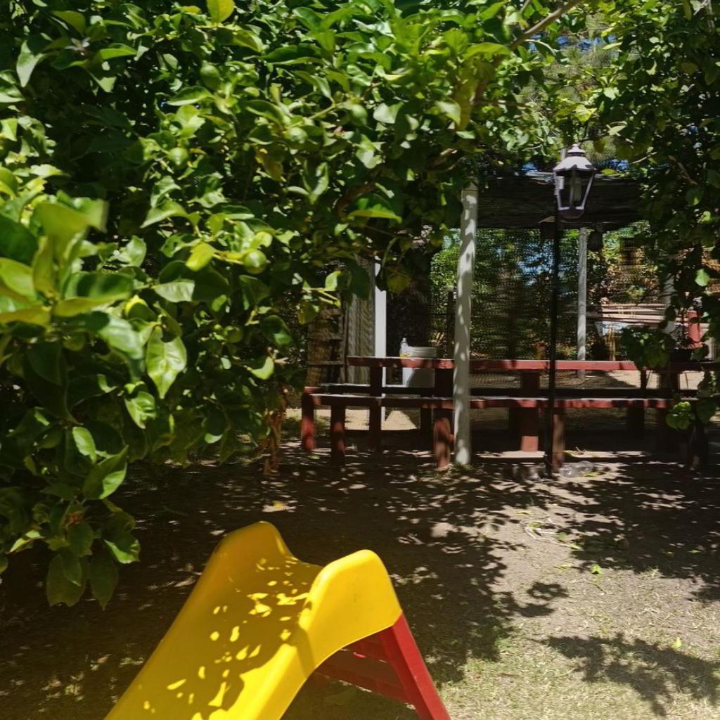 Apartamento Giardino Departamentos *