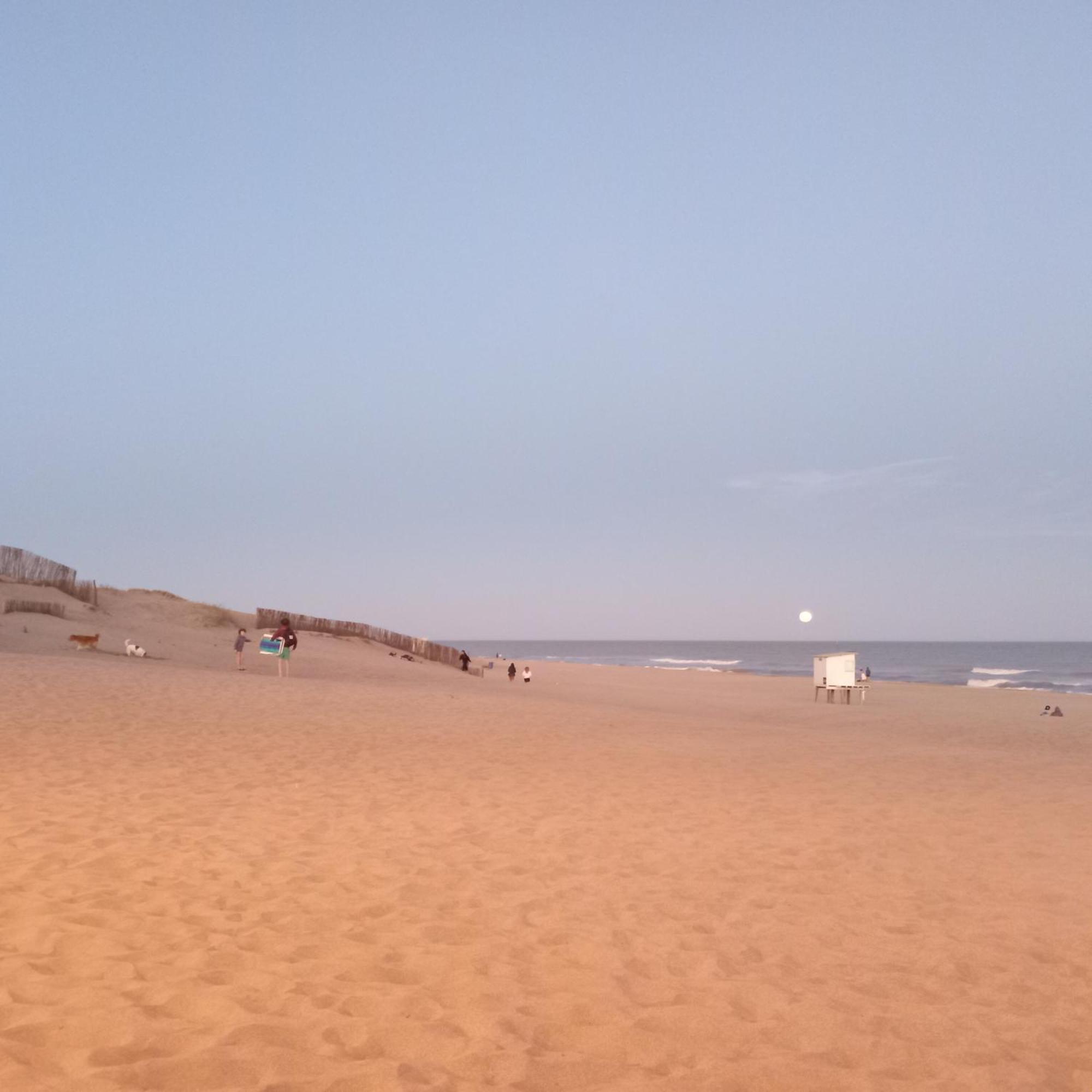 Gesell Norte Mar Y Bosque * Villa Gesell