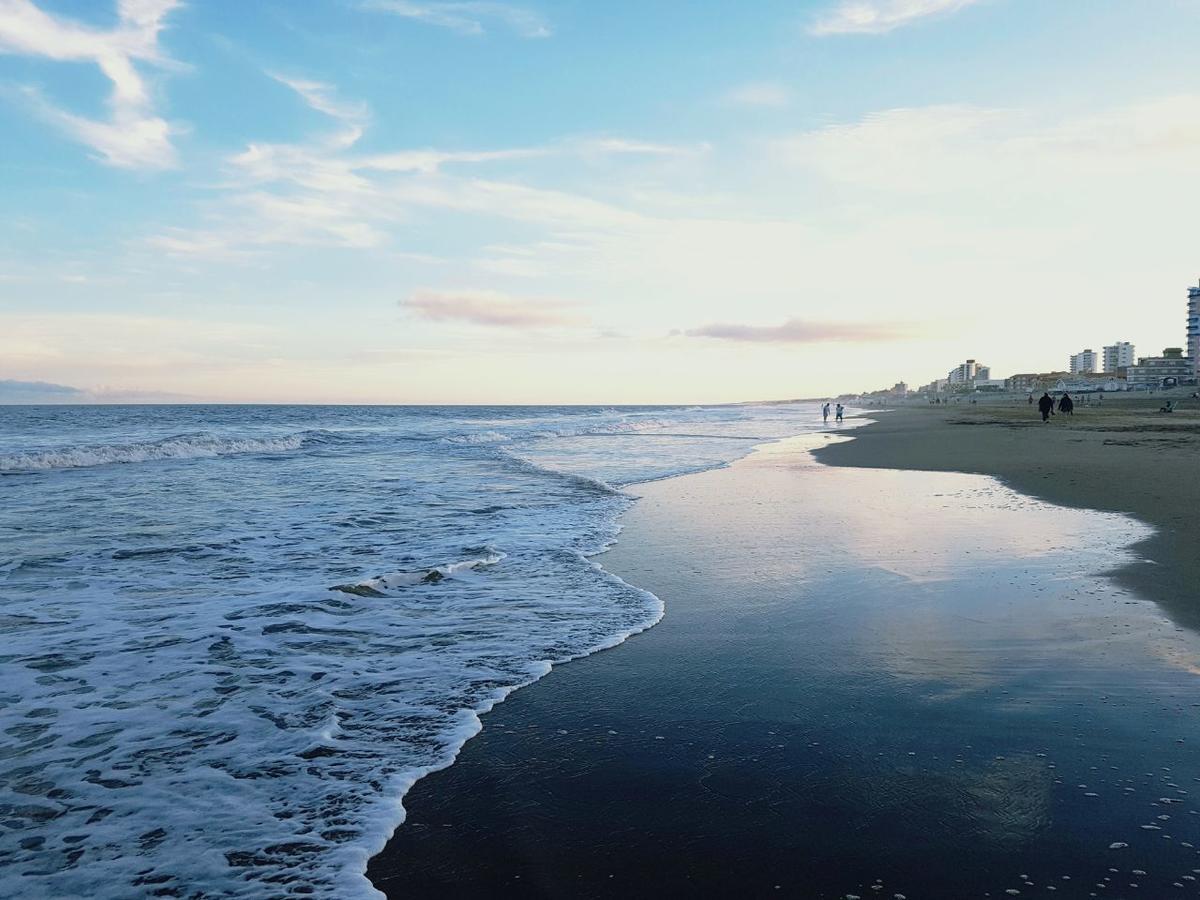 Apartment Arpon 9 - 5c - Frente Al Mar 2 Dorm. Cochera Privada