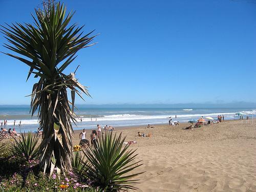 Gran International Villa Gesell