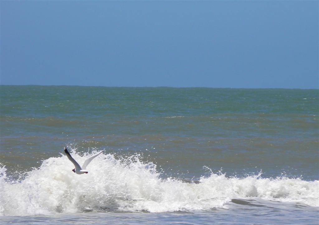 Gran International Villa Gesell