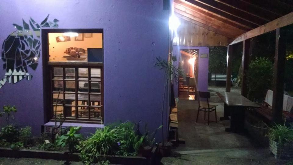 37° No Es Fiebre Hostal *