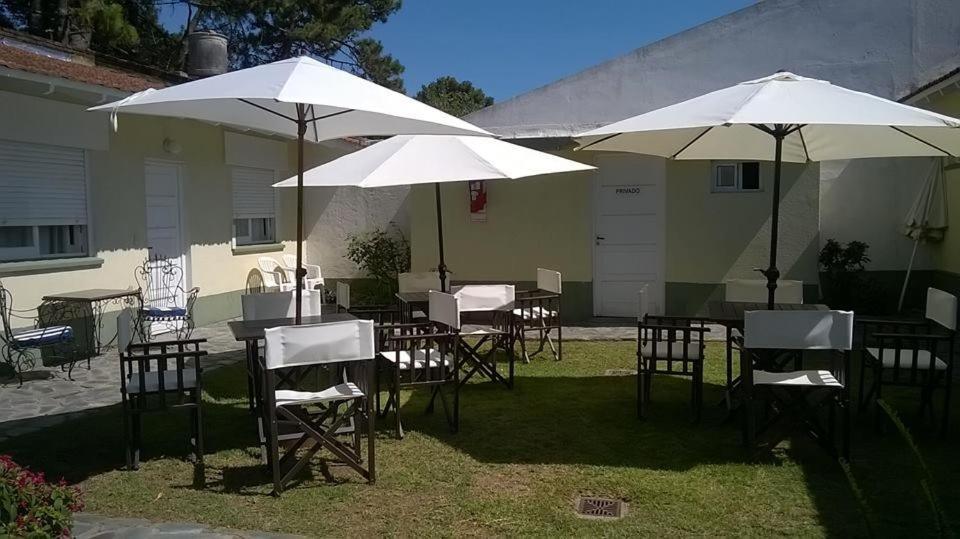 Pelicano *