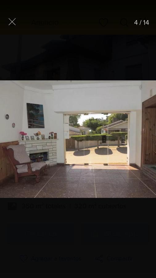 Jabalí Villa Gesell