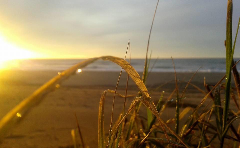 Medamar Playa Villa Gesell