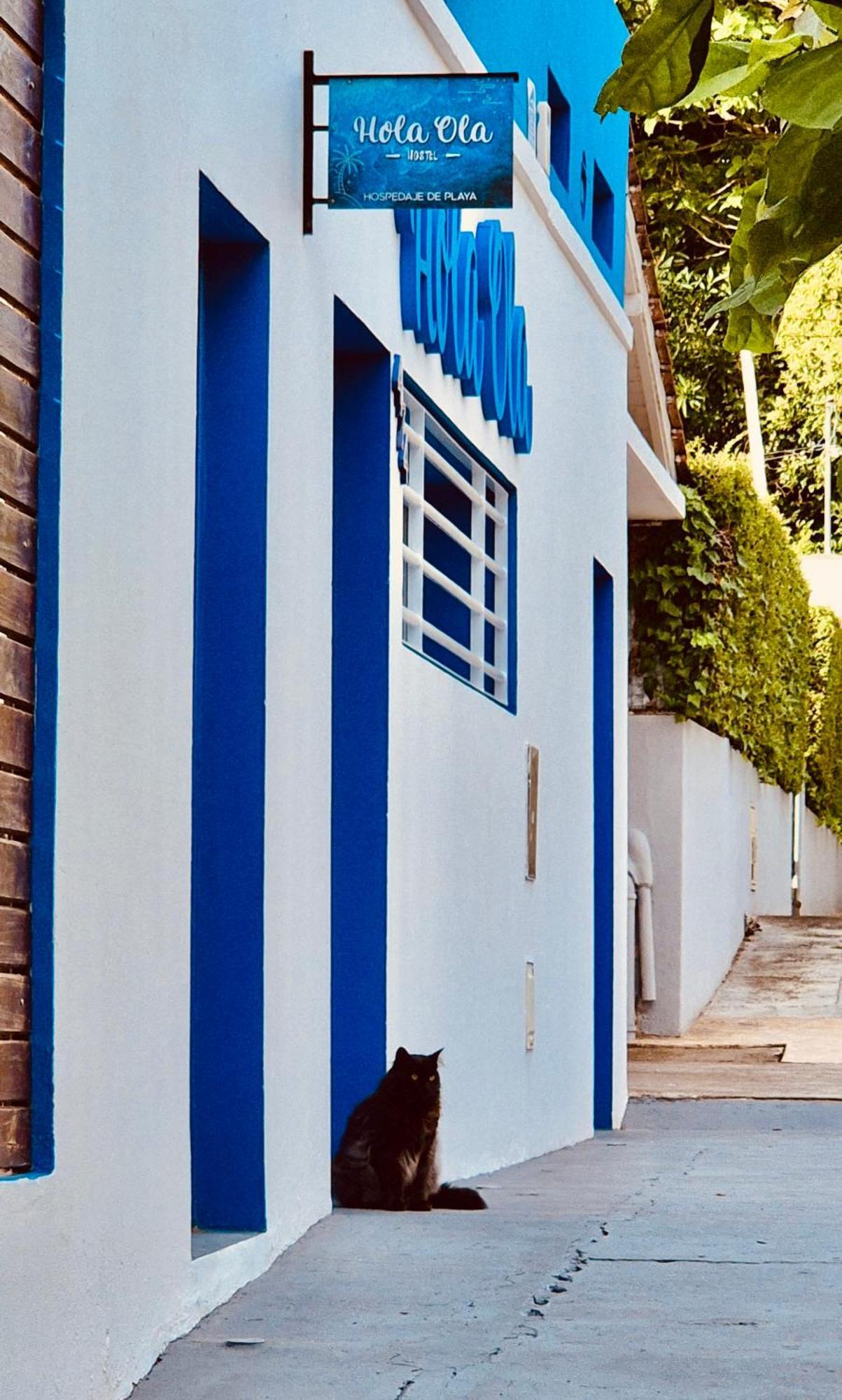 Hola Ola *